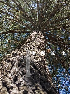 律所法律顾问报价组成 律所法律顾问报价组成