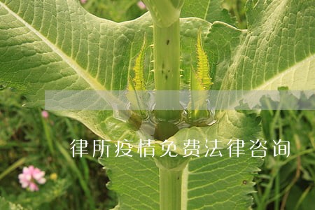 律所疫情免费法律咨询 律所疫情免费法律咨询