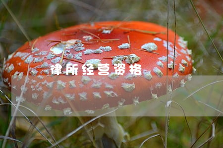 律所经营资格 律所经营资格