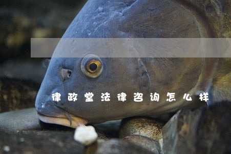 律政堂法律咨询怎么样 律政堂法律咨询怎么样