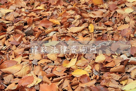 律政法律咨询网 律政法律咨询网