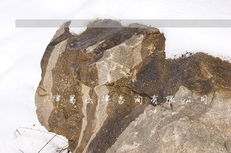 律昌法律咨询有限公司 律昌法律咨询有限公司