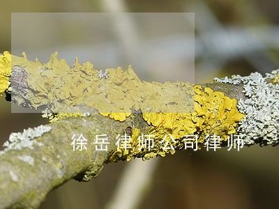 徐岳律师公司律师 徐岳律师公司律师