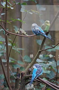 徐州专业的执行律师收费标准
