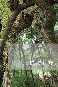 徐州专利诉讼代理服务热线 徐州专利诉讼代理服务热线