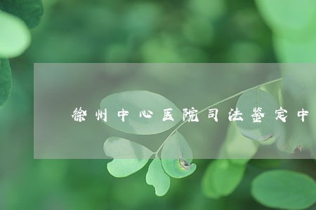 徐州中心医院司法鉴定中心电话
