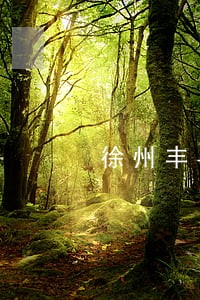 徐州丰县交通肇事案律师
