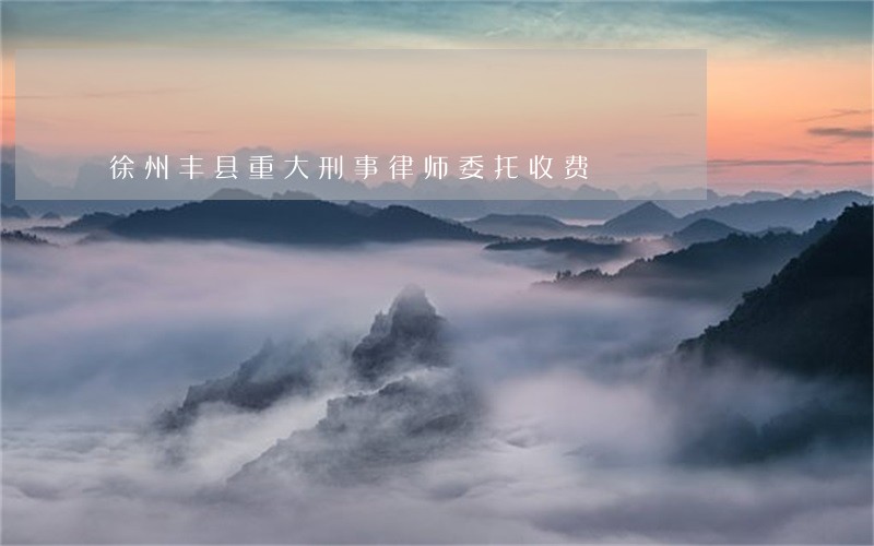 徐州丰县重大刑事律师委托收费