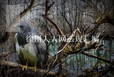 徐州人大网法规汇编 徐州人大网法规汇编