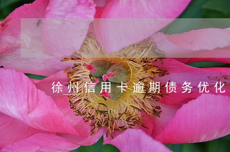 徐州信用卡逾期债务优化怎么收费