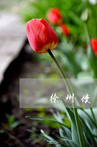 徐州债权债务律师免费咨询
