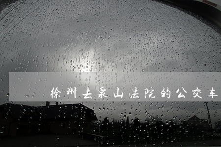 徐州去泉山法院的公交车
