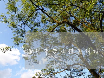 徐州市专业债务纠纷律师哪里找 徐州市专业债务纠纷律师哪里找