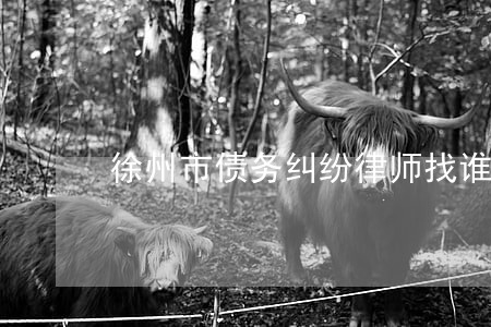 徐州市债务纠纷律师找谁好 徐州市债务纠纷律师找谁好