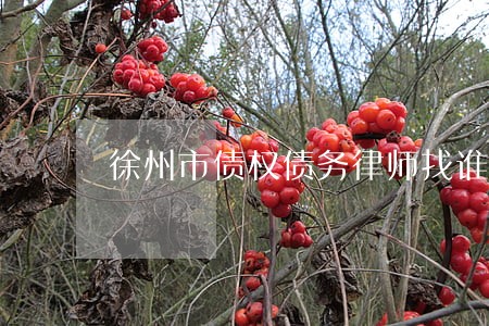 徐州市债权债务律师找谁好 徐州市债权债务律师找谁好