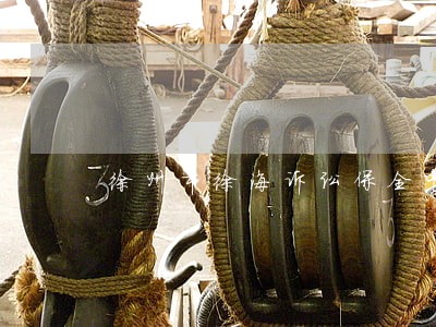 徐州市徐海诉讼保全中心业务流程 徐州市徐海诉讼保全中心业务流程