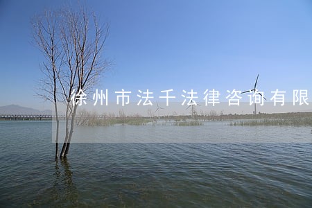 徐州市法千法律咨询有限公司