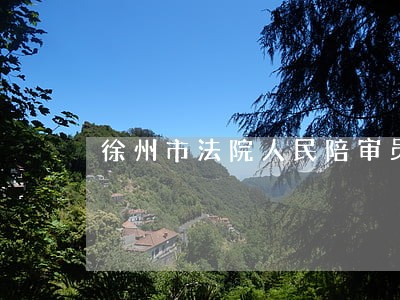 徐州市法院人民陪审员服装
