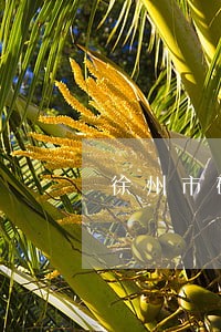 徐州市破产清算律师
