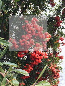 徐州市网贷逾期法务帮助 徐州市网贷逾期法务帮助