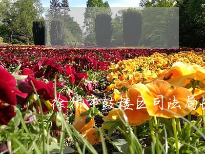 徐州市鼓楼区司法局长 徐州市鼓楼区司法局长
