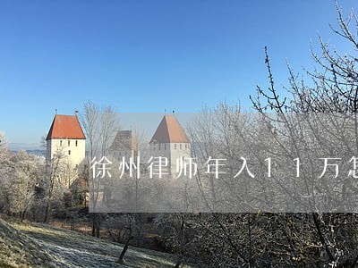徐州律师年入11万怎么样 徐州律师年入11万怎么样