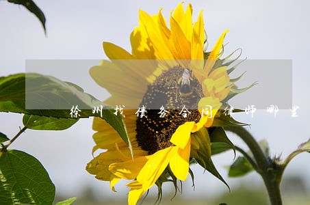 徐州找债务合同律师哪里找