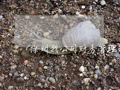 徐州找公司财务管理免费法律咨询 徐州找公司财务管理免费法律咨询