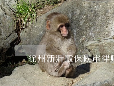 徐州新沂取保候审律师选谁 徐州新沂取保候审律师选谁
