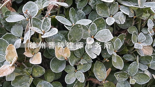 徐州晋陵律师事务所