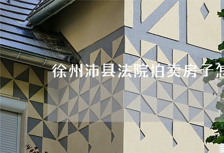 徐州沛县法院拍卖房子怎么样