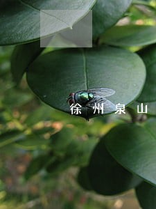 徐州泉山区检察院改革 徐州泉山区检察院改革