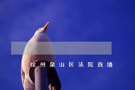 徐州泉山区法院直播