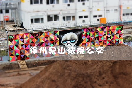 徐州泉山法院公交