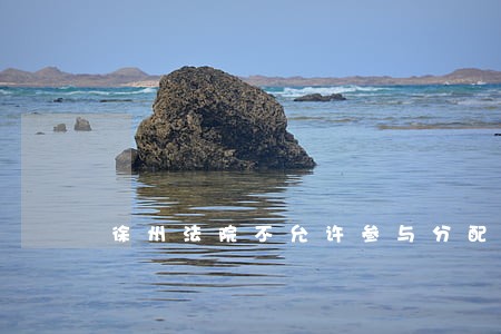 徐州法院不允许参与分配吗
