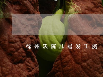 徐州法院几号发工资 徐州法院几号发工资