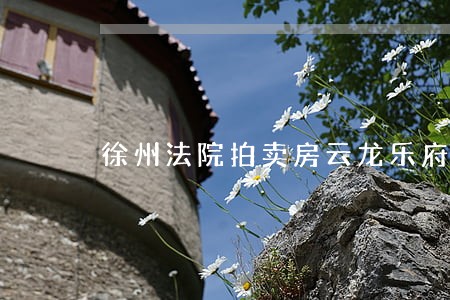 徐州法院拍卖房云龙乐府 徐州法院拍卖房云龙乐府