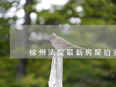 徐州法院最新房屋拍卖公告
