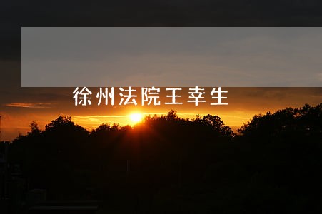 徐州法院王幸生 徐州法院王幸生