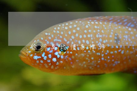 徐州离婚债务律师 徐州离婚债务律师