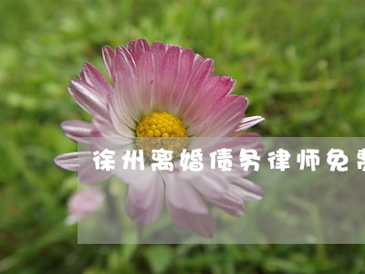 徐州离婚债务律师免费咨询 徐州离婚债务律师免费咨询