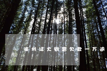 徐州证大财富欠款一万逾期
