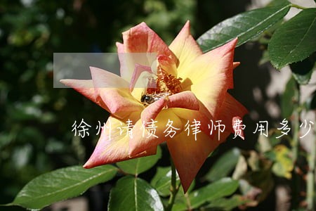 徐州请债务律师费用多少 徐州请债务律师费用多少