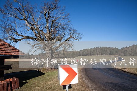 徐州铁路运输法院刘大林