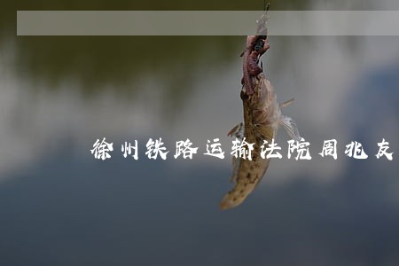 徐州铁路运输法院周兆友 徐州铁路运输法院周兆友