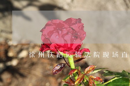 徐州铁路运输法院现场直播的案子 徐州铁路运输法院现场直播的案子
