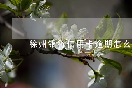 徐州银行信用卡逾期怎么办 徐州银行信用卡逾期怎么办