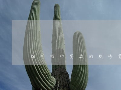 徐州银行贷款逾期修复费用 徐州银行贷款逾期修复费用
