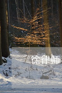徐律师我想问下 徐律师我想问下