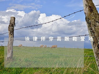 徐律师穿高跟鞋登场 徐律师穿高跟鞋登场
